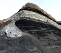 Open pit mine in Tevshiin Govi in central Mongolia where the mummified fossil plants were found.